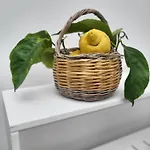 L'agrumeto Affittacamere