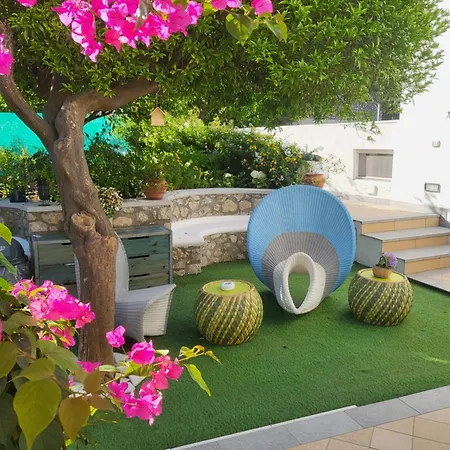 L'agrumeto Gasthuis Anacapri (Isola di Capri)