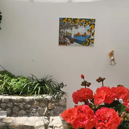 L'agrumeto Penzion Anacapri (Isola di Capri)