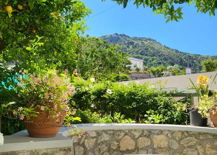 Casa de hóspedes L'agrumeto 3*